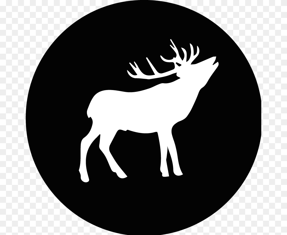 Wild Things Roam Twitter Icons Black And White, Animal, Deer, Mammal, Wildlife Free Png