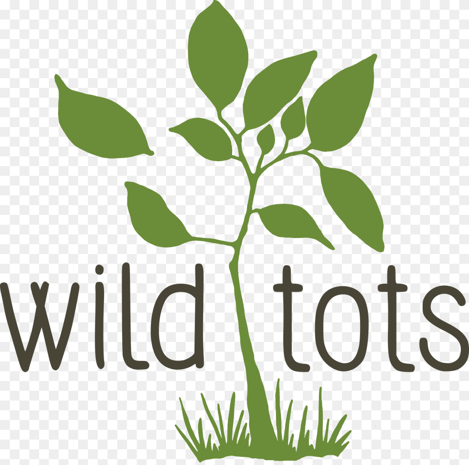 Wild Tots Launches Its First Licensed Group With Partners, Green, Herbal, Herbs, Leaf Free Png
