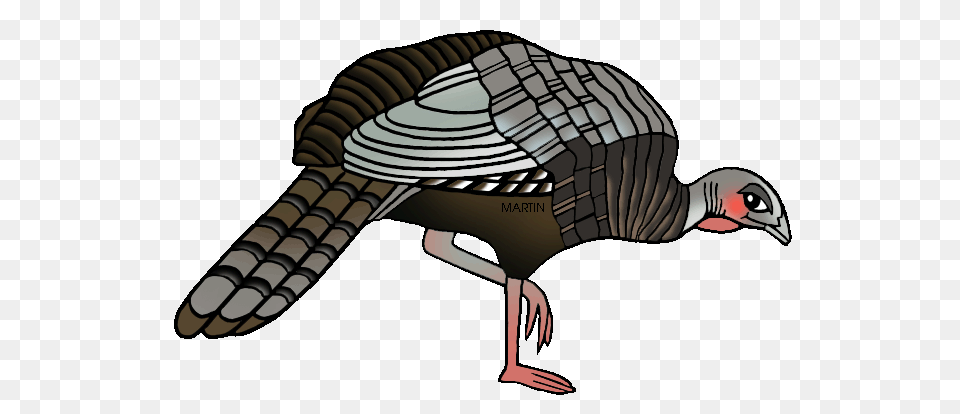 Wild Turkey Clip Art, Animal, Bird, Fowl, Poultry Png Image