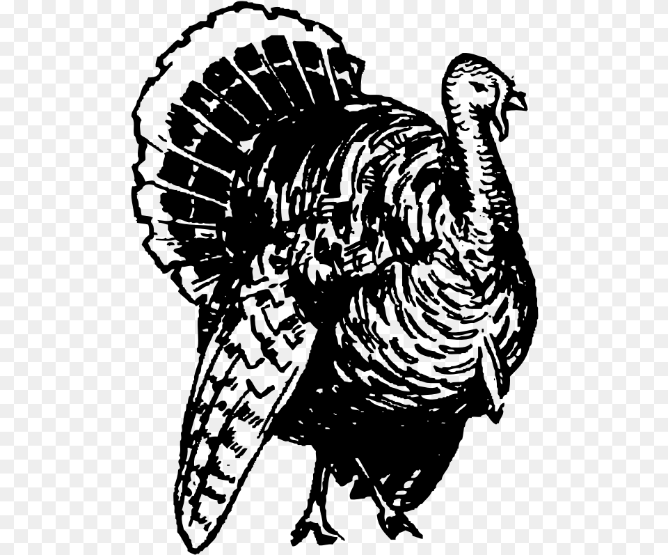 Wild Turkey Clipart Black And White, Gray Png