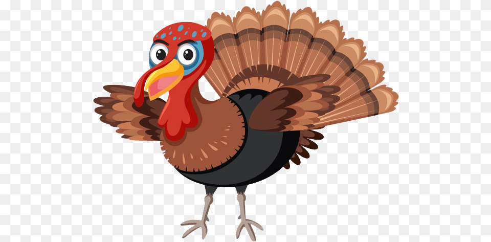 Wild Turkey Turkey Character, Animal, Beak, Bird Free Png Download