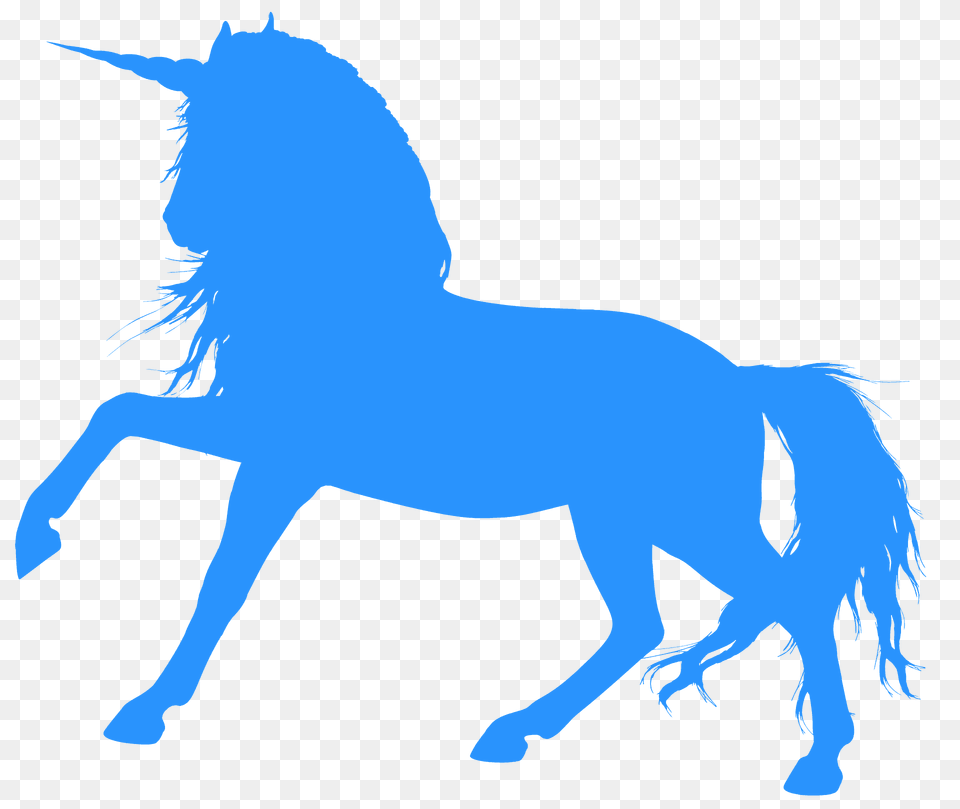 Wild Unicorn Silhouette, Animal, Mammal, Horse Free Png Download