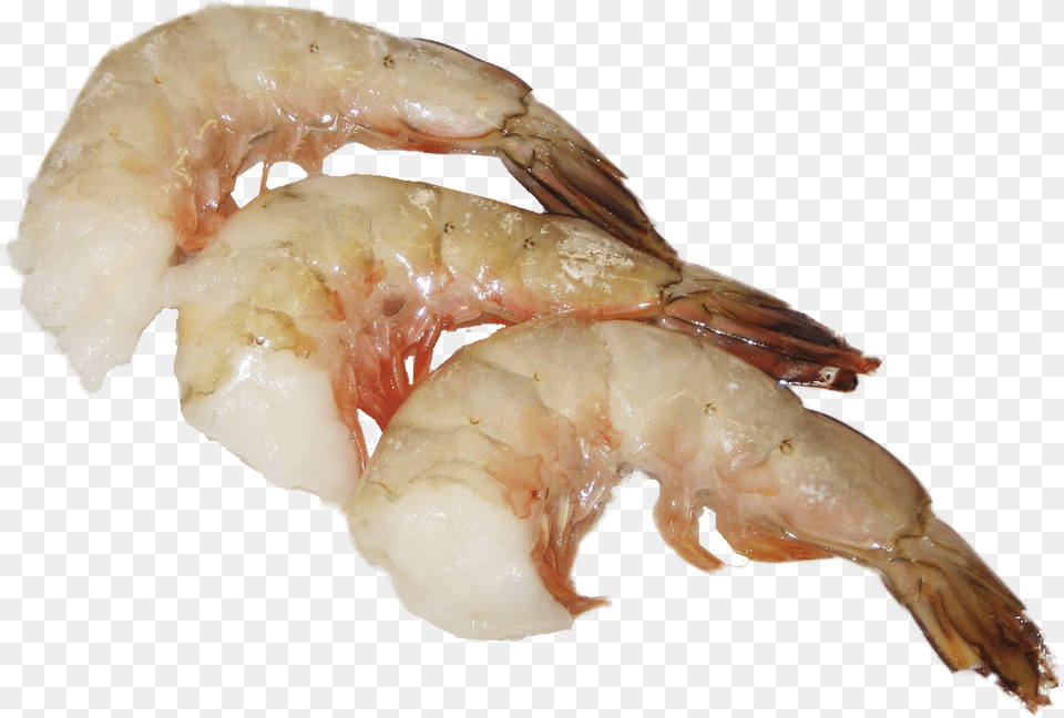 Wild Usa Gulf Shrimp Litopenaues Setiferus Botan Shrimp, Animal, Food, Invertebrate, Sea Life Free Png
