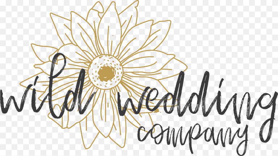 Wild Wedding Company Calligraphy, Art, Pattern, Graphics, Floral Design Free Png