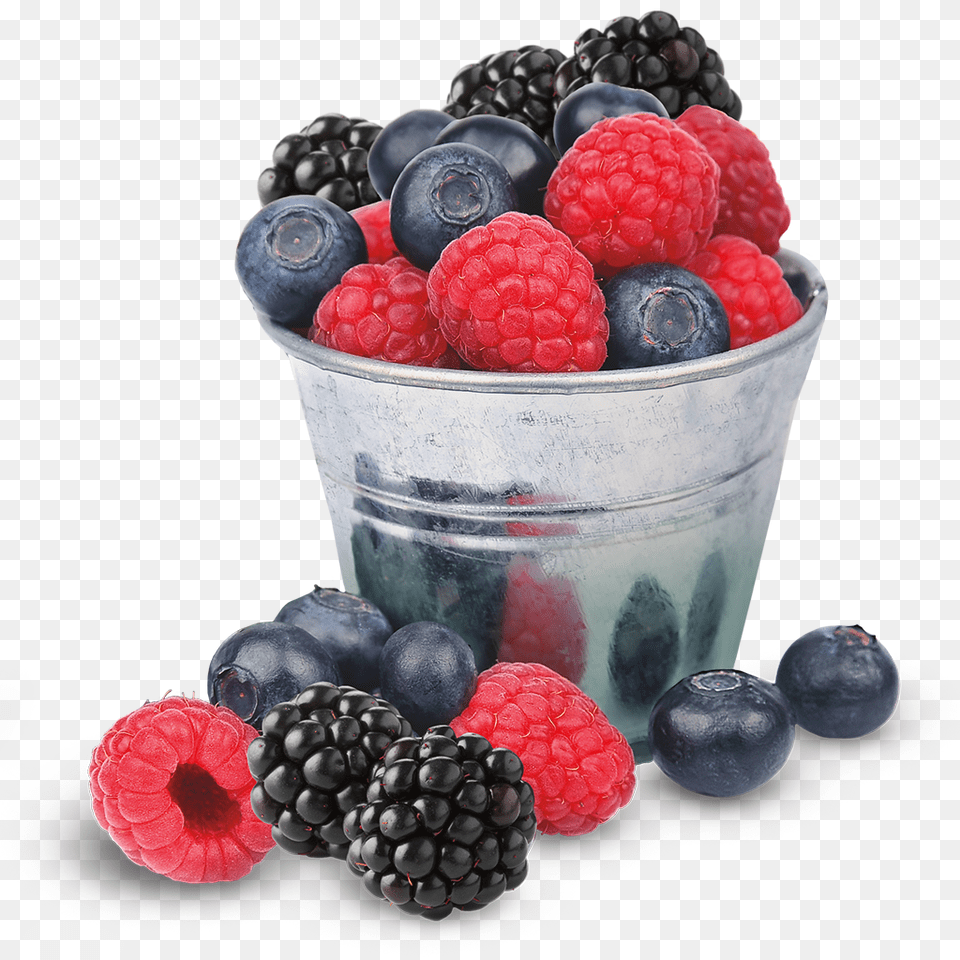 Wildberry, Berry, Blueberry, Food, Fruit Free Transparent Png