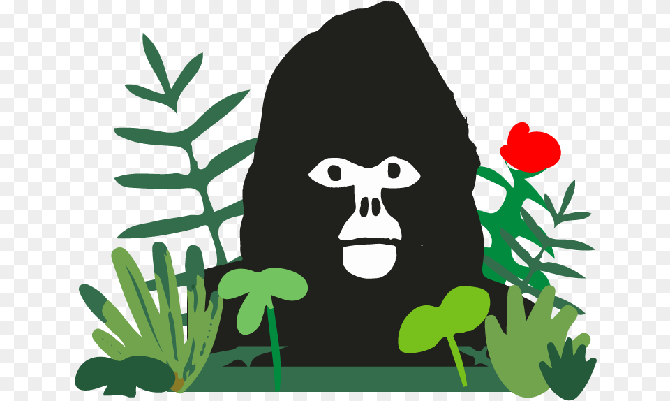 Wildcards Saving Endangered Animals Gorilla Transparent, Green, Plant, Vegetation, Flower Free Png