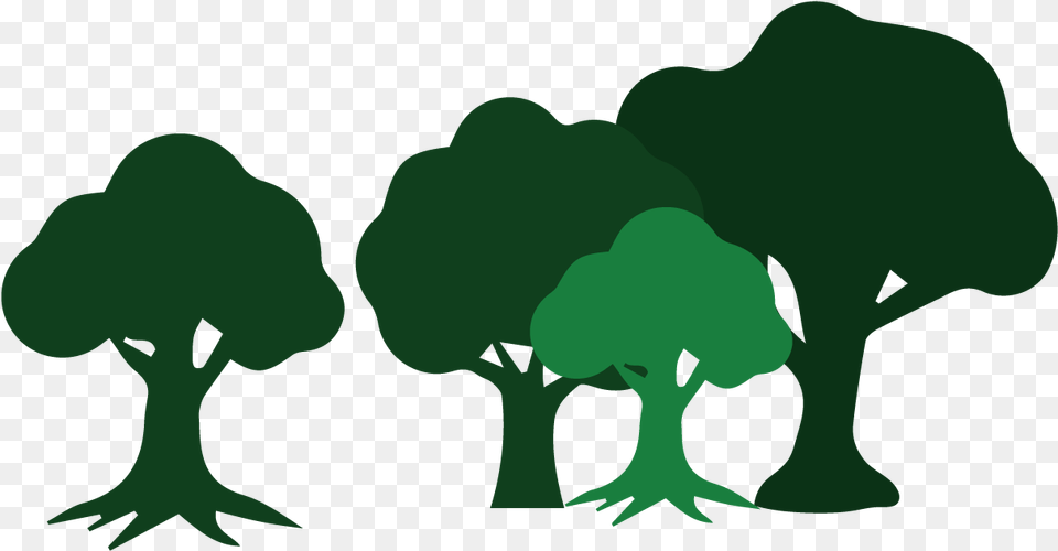 Wildcat Creek Tree Services Has The Skills To Assist Illustration, Broccoli, Food, Plant, Produce Free Png