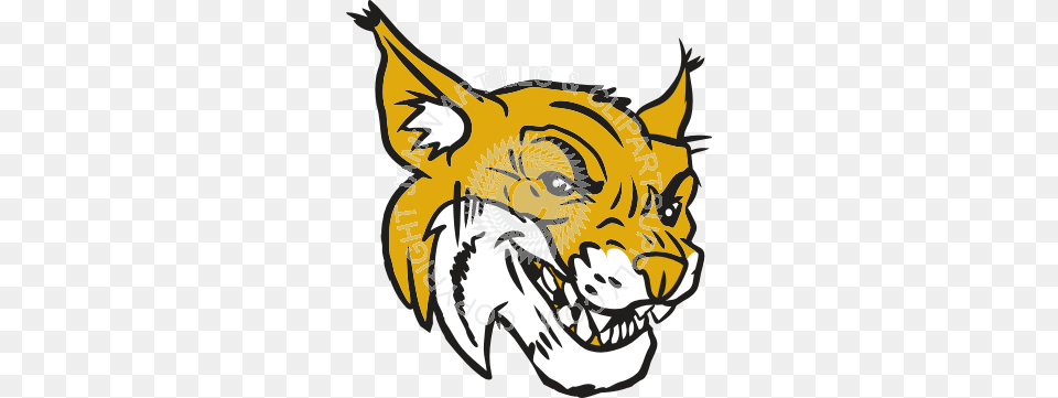 Wildcat Head, Baby, Person, Animal, Face Free Transparent Png