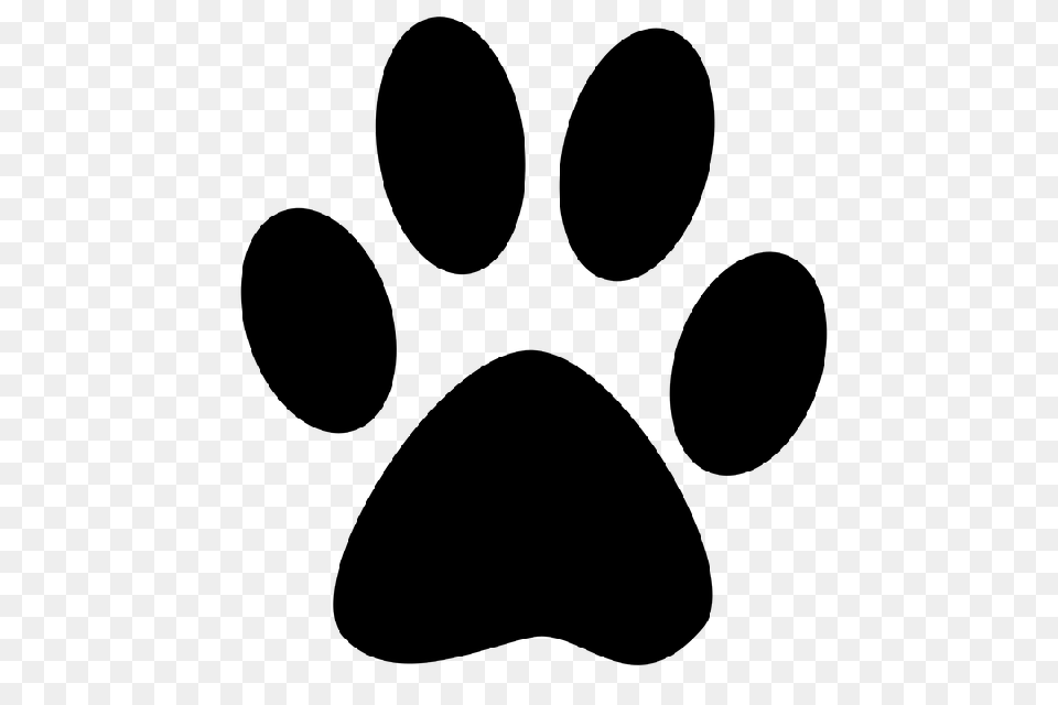 Wildcat Pawprint Download Clip Art, Gray Png Image