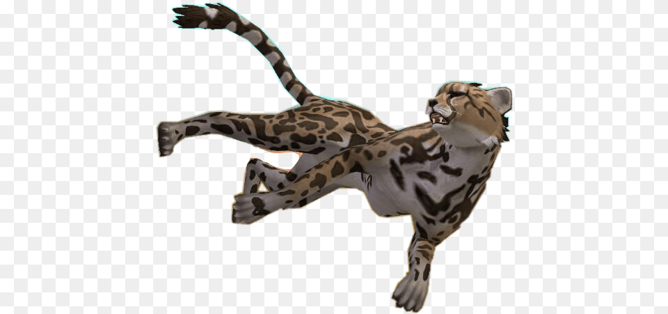 Wildcraft Cheetah Rare Sticker By Sunny Animal Figure, Mammal, Wildlife, Ocelot, Dinosaur Free Transparent Png