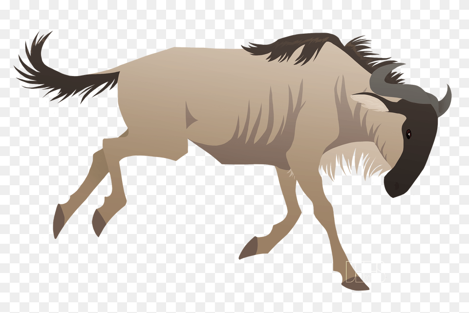 Wildebeest Clipart, Animal, Bull, Mammal, Buffalo Free Png Download