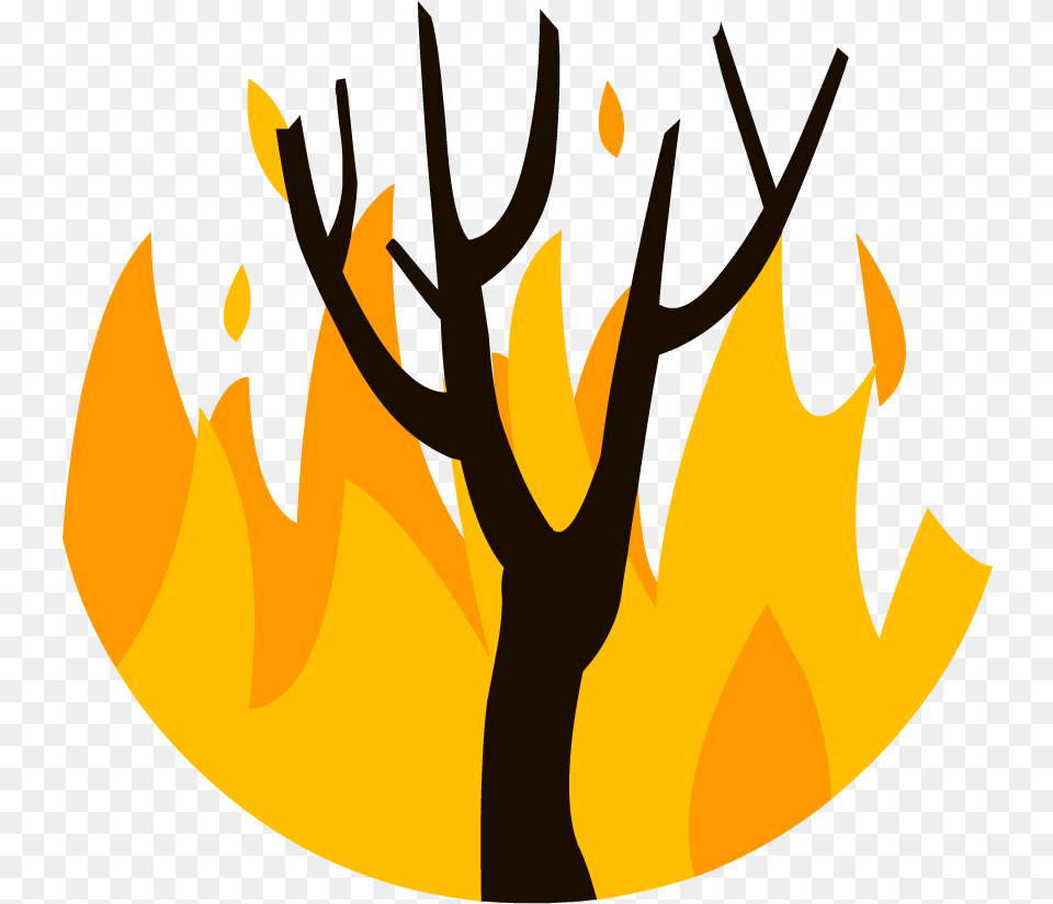 Wildfire Clipart, Fire, Flame, Person Png