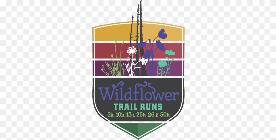 Wildflower Artboard 1md Best Trail Run Medal, Art, Graphics, Flower, Plant Png