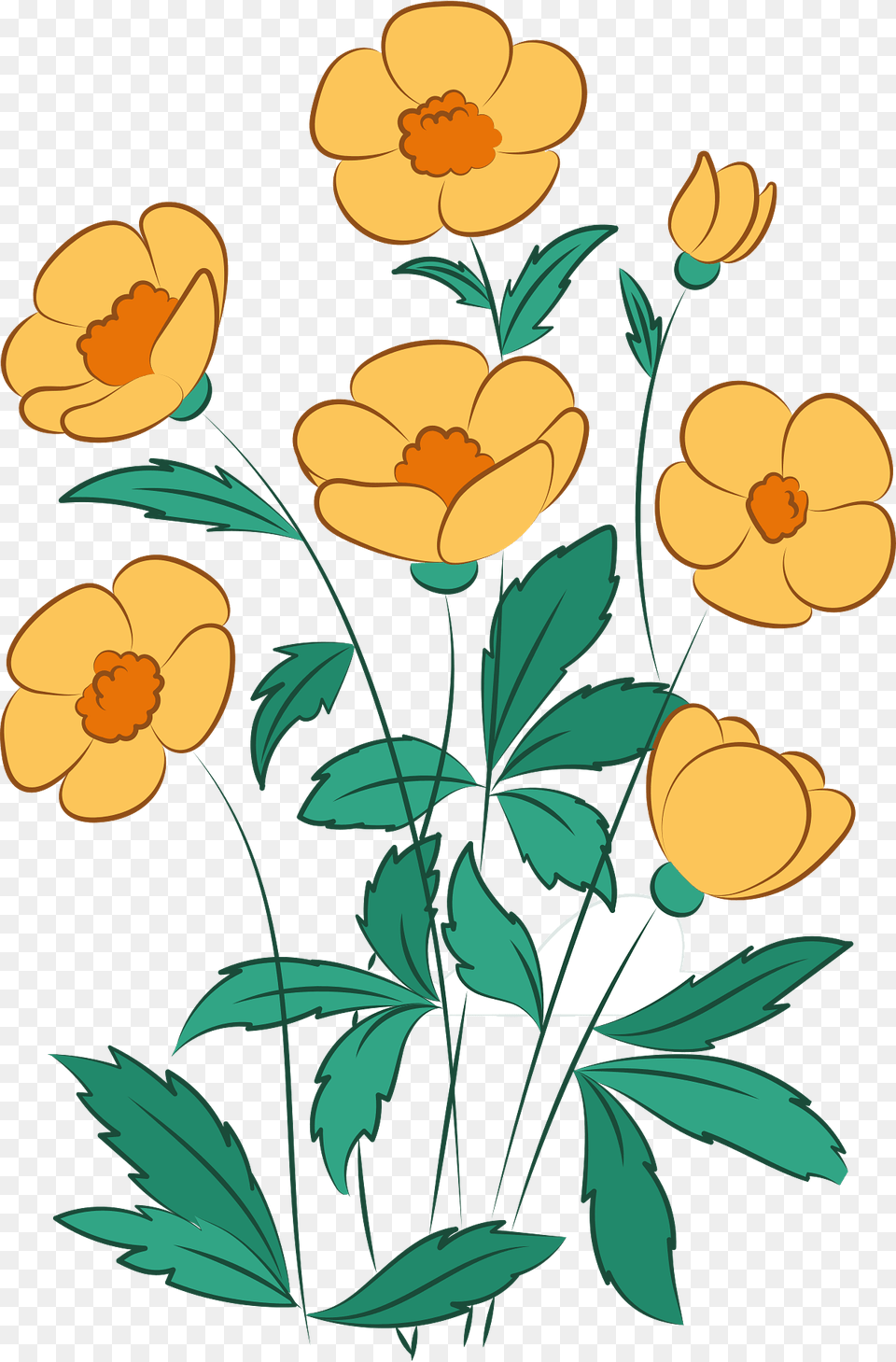 Wildflower Clipart, Flower, Plant, Anemone, Pattern Free Transparent Png