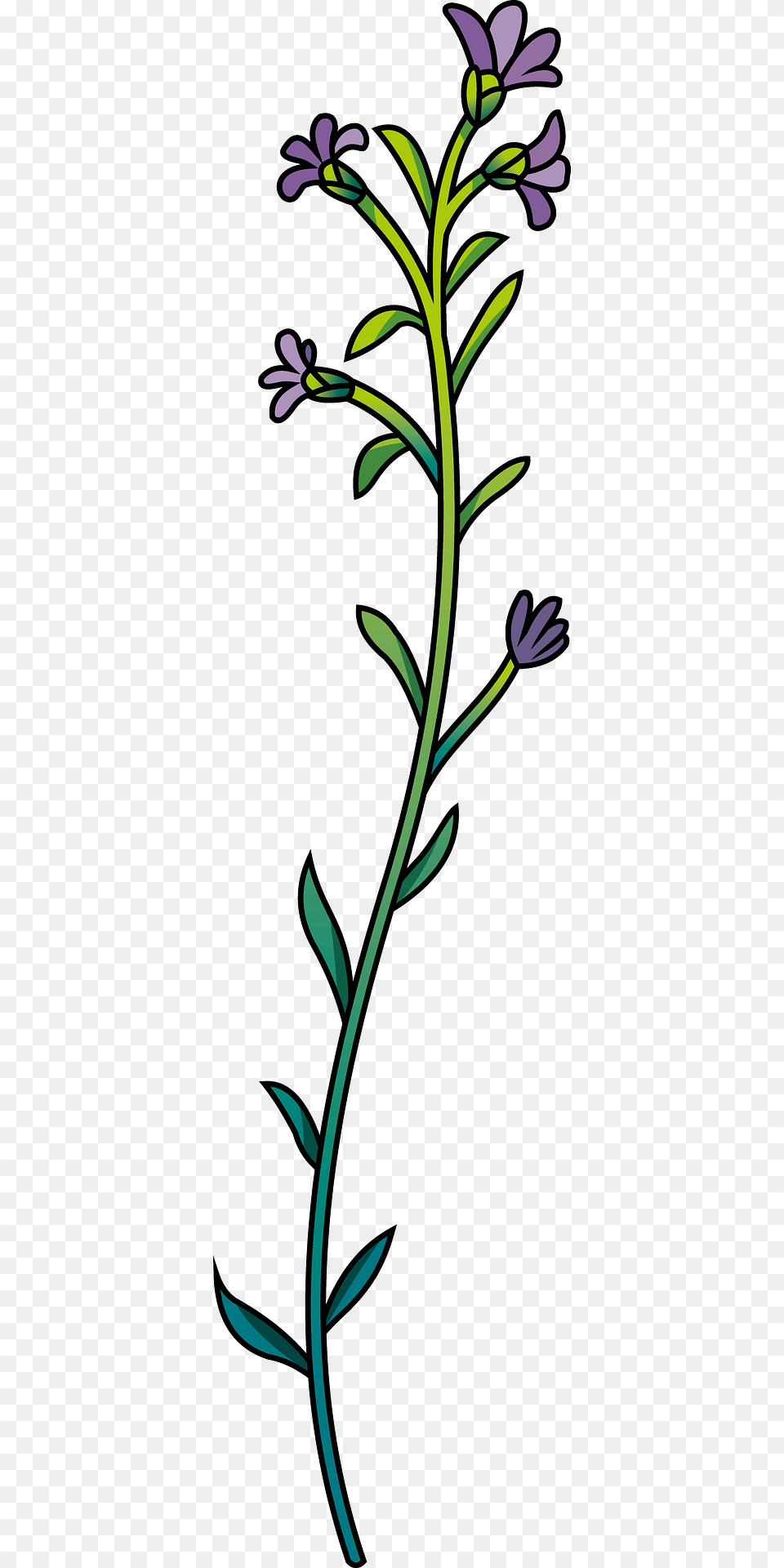 Wildflower Clipart, Art, Floral Design, Graphics, Pattern Free Png