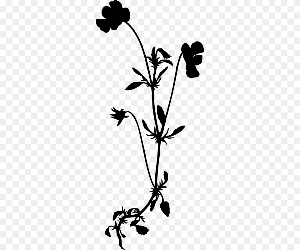 Wildflower Clipart Black And White, Gray Png