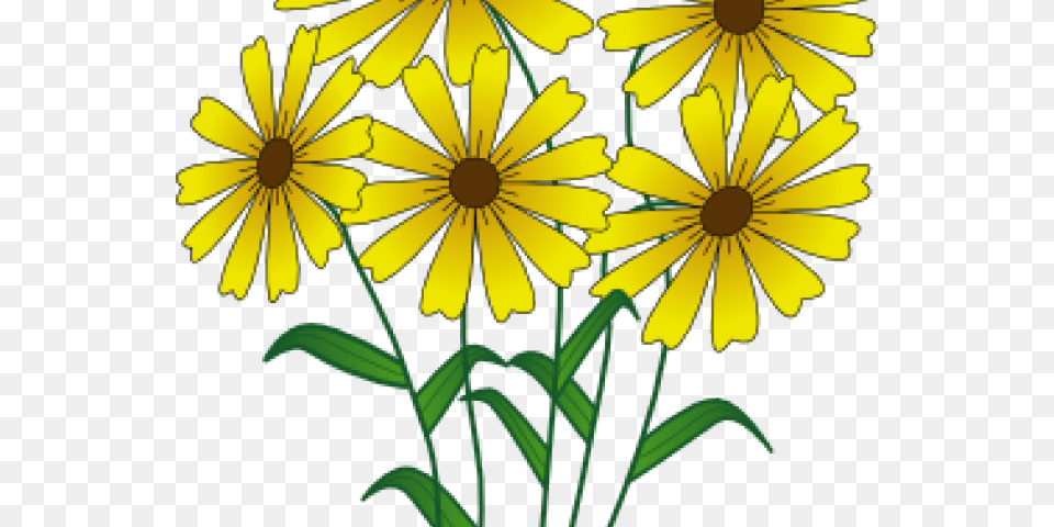 Wildflower Clipart Clip Art, Daisy, Flower, Plant, Petal Free Transparent Png