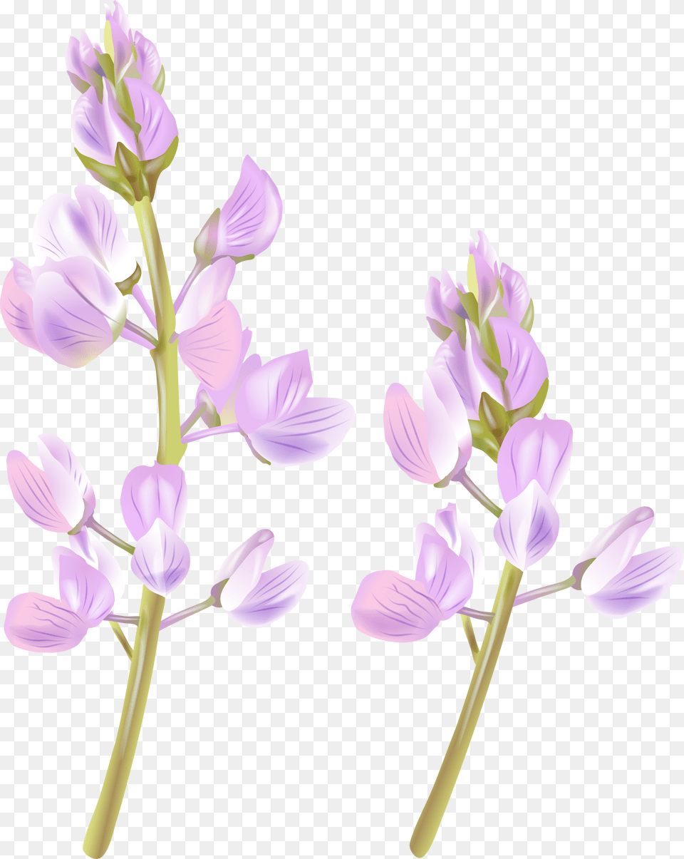 Wildflower Clipart Easter Flower Free Transparent Png