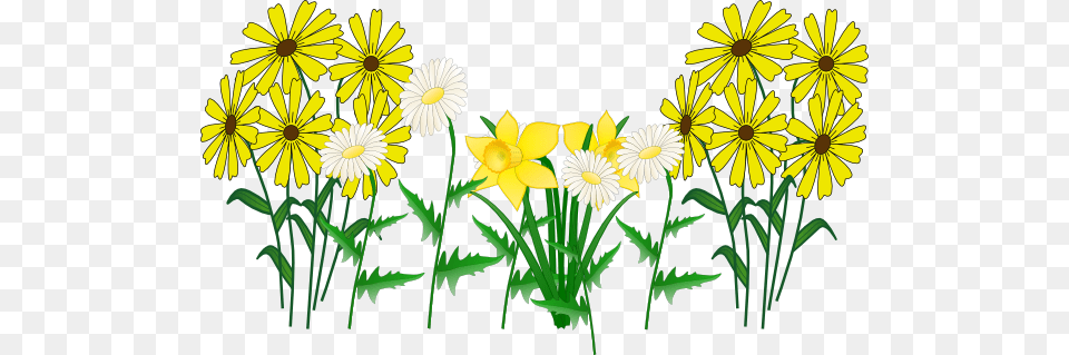 Wildflower Clipart Yellow Daisy Flowers Cartoon, Flower, Plant, Daffodil Free Transparent Png