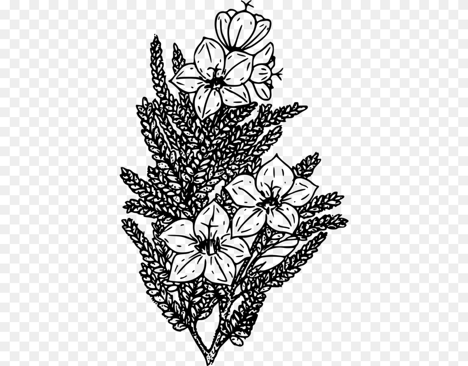Wildflower Coloring Book Black And White, Gray Free Png Download