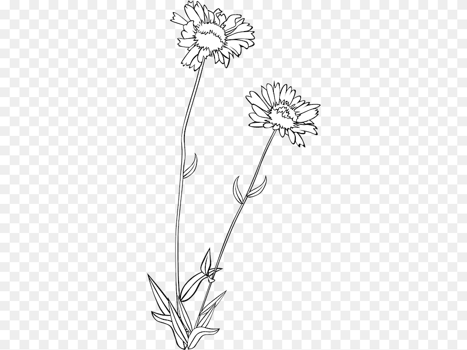 Wildflower Flower Plant Wild Flowers Clipart Black And White, Daisy, Art, Drawing Png Image