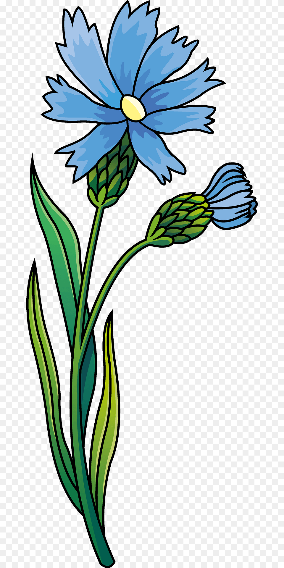 Wildflower Knapweed Clipart, Daisy, Flower, Plant, Flax Png