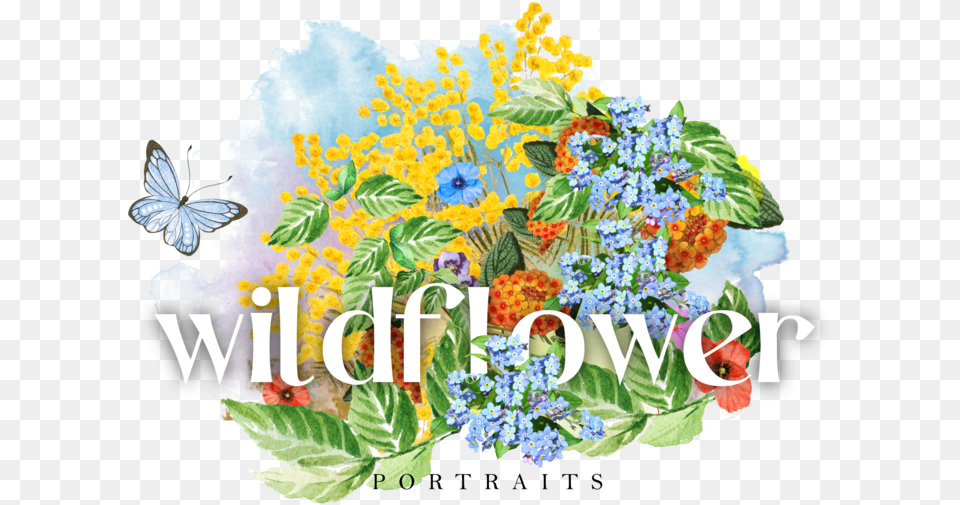 Wildflower Portraits, Herbs, Plant, Herbal, Flower Free Transparent Png
