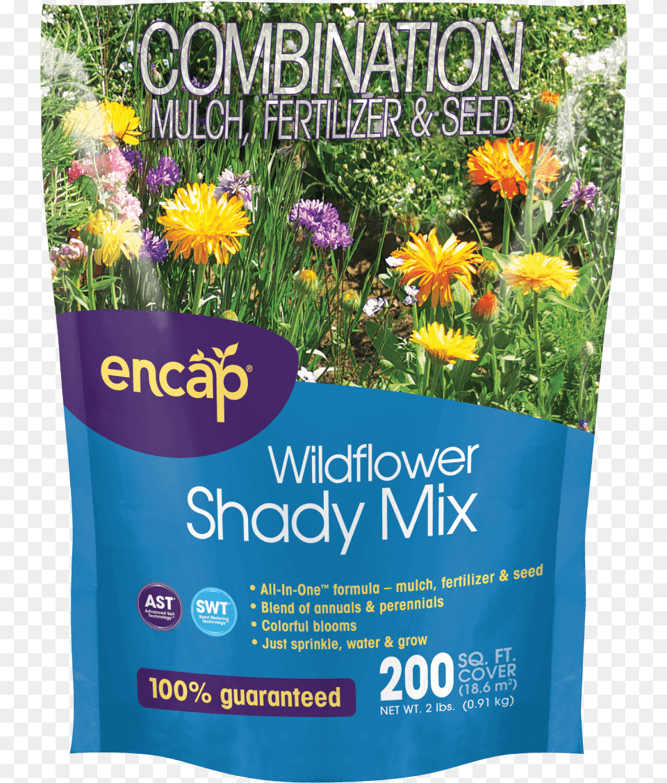Wildflower Shady Mix Seed, Advertisement, Herbal, Herbs, Plant Free Png Download