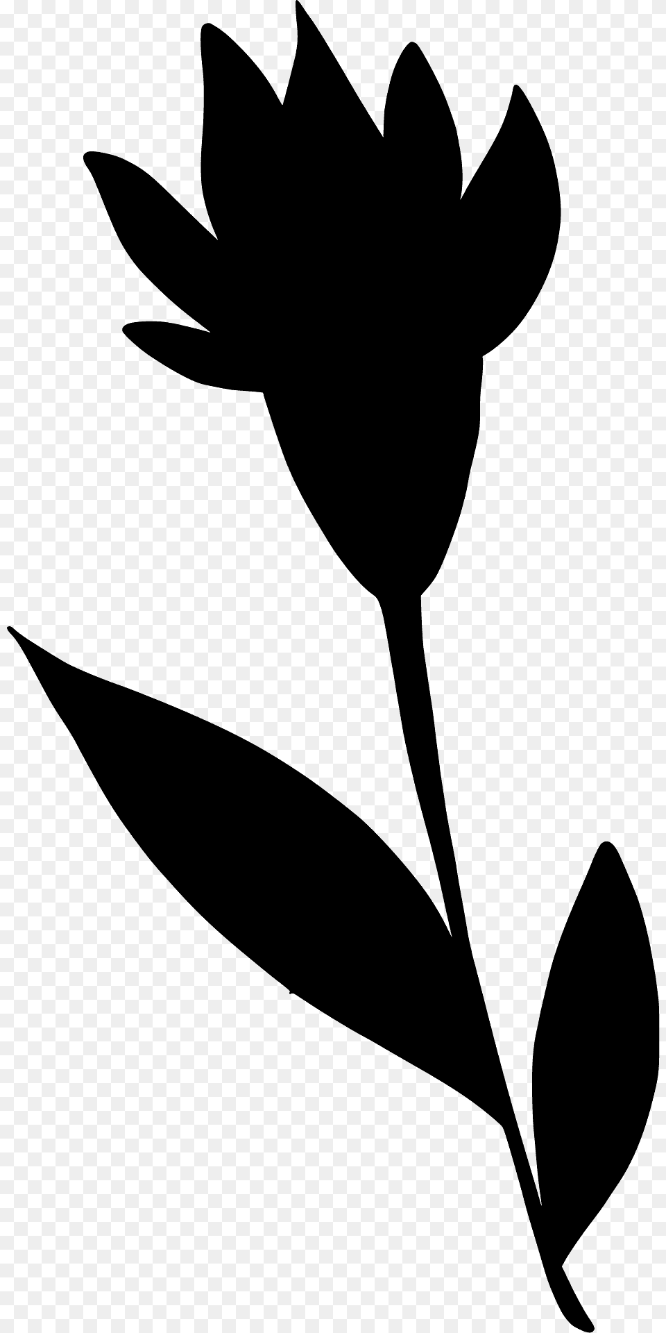 Wildflower Silhouette, Leaf, Plant, Flower, Animal Png Image