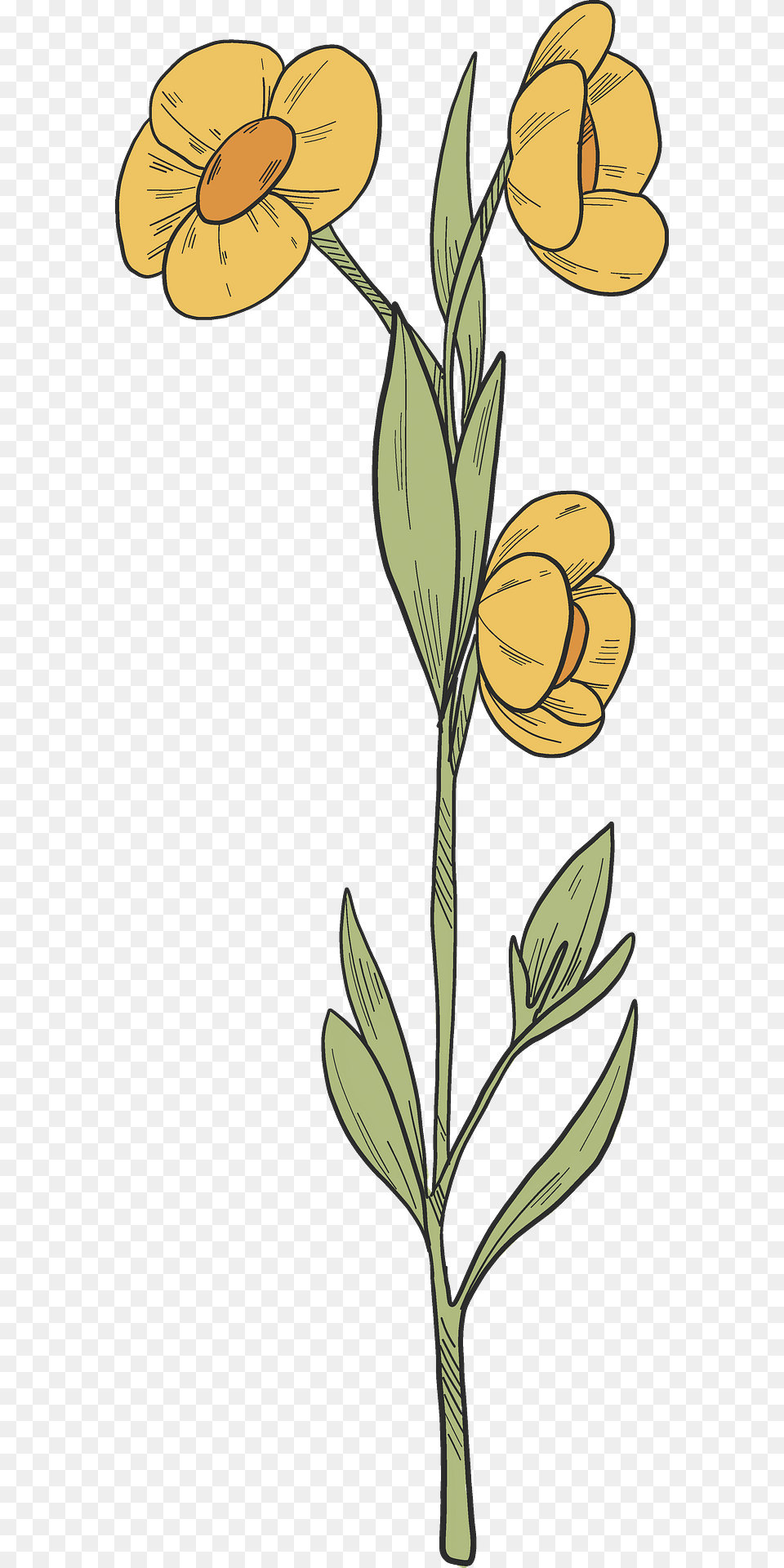Wildflowers Clipart, Flower, Plant, Art, Daffodil Free Png Download