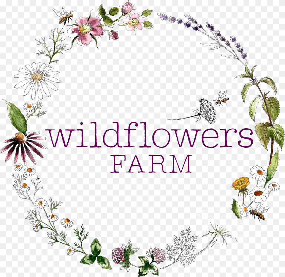Wildflowers Farm Herbaceous Plant, Graphics, Art, Pattern, Floral Design Free Png Download