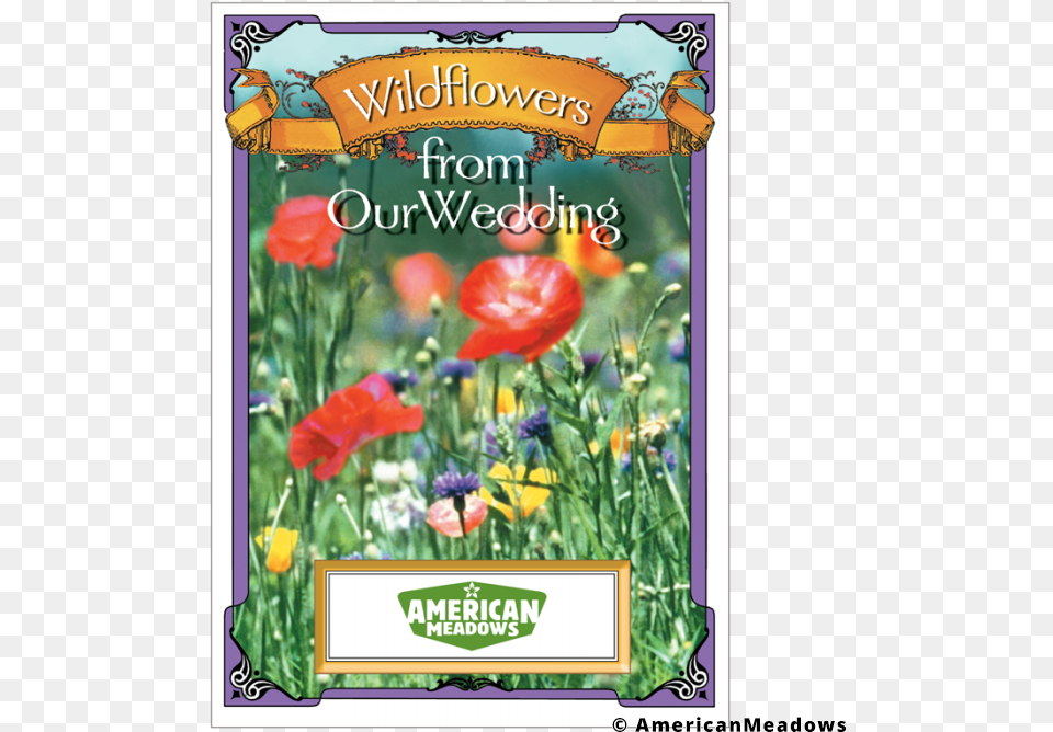 Wildflowers From Our Wedding Seed Packet Wildflower Seed Packets, Flower, Plant, Advertisement, Poster Free Transparent Png