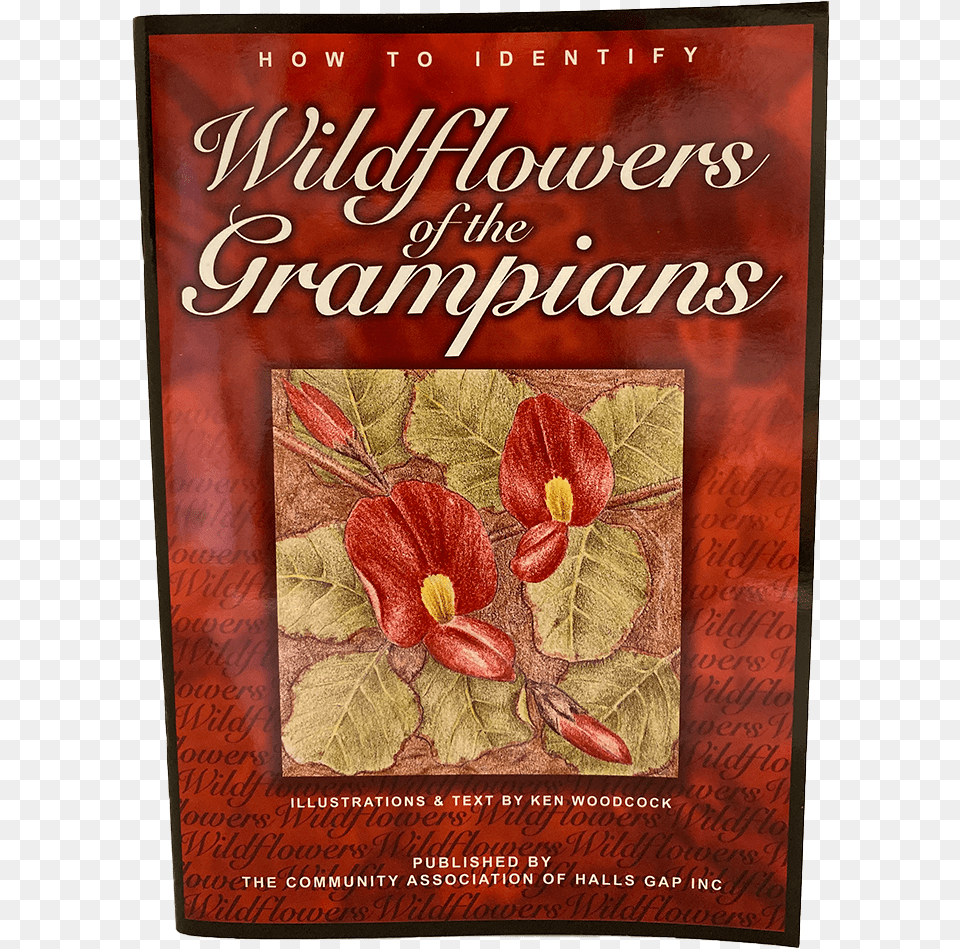 Wildflowers Of The Grampians Book Cover, Publication, Flower, Plant Free Transparent Png