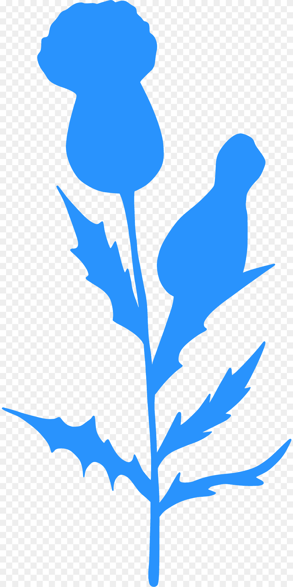 Wildflowers Silhouette, Leaf, Plant, Person, Animal Free Transparent Png