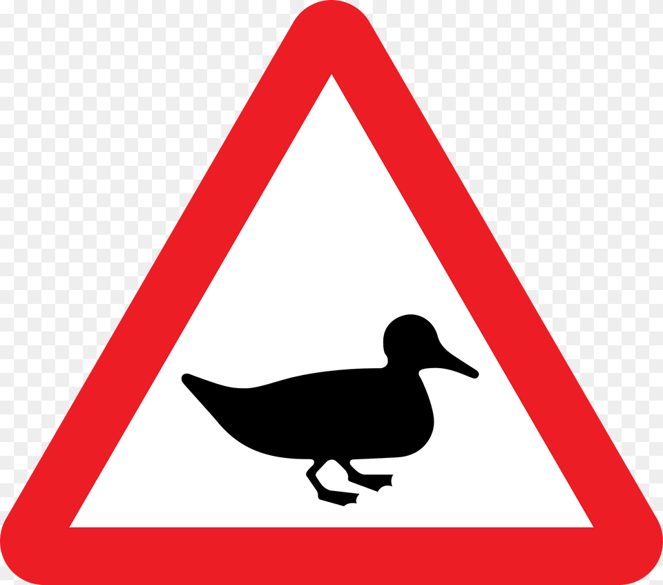Wildfowl Clipart, Sign, Symbol, Animal, Bird Png Image