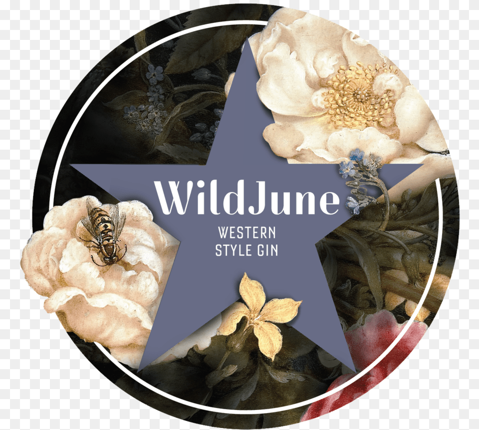 Wildjune Rose, Animal, Bee, Insect, Invertebrate Free Transparent Png