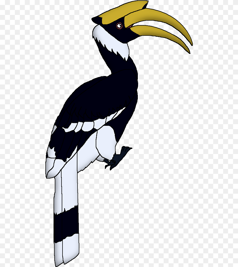 Wildlife Animal Pedia Wiki Hornbill, Beak, Bird, Person, Toucan Free Png Download