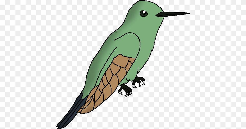 Wildlife Animal Pedia Wiki Illustration, Beak, Bird, Bee Eater, Person Free Png