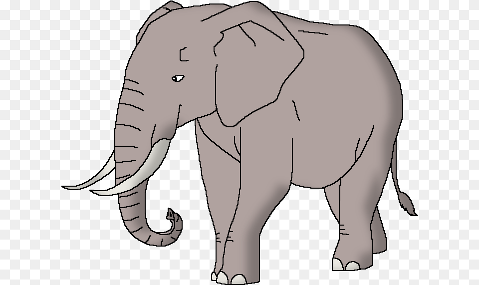Wildlife Animal Pedia Wiki Indian Elephant, Adult, Male, Man, Person Png