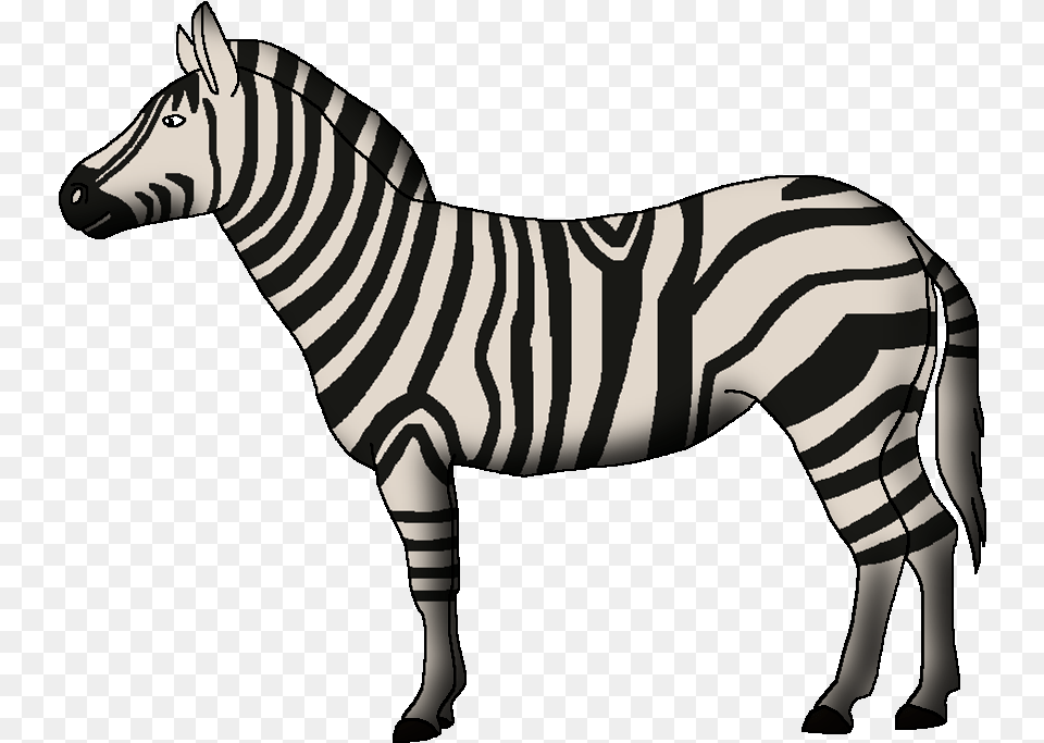 Wildlife Animal Pedia Wiki Zebra, Mammal Free Png Download