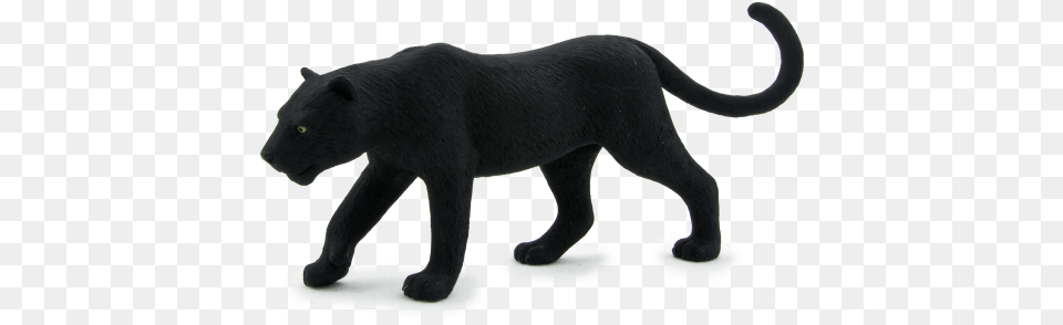 Wildlife Animal Planet Black Panther, Bear, Mammal Png Image