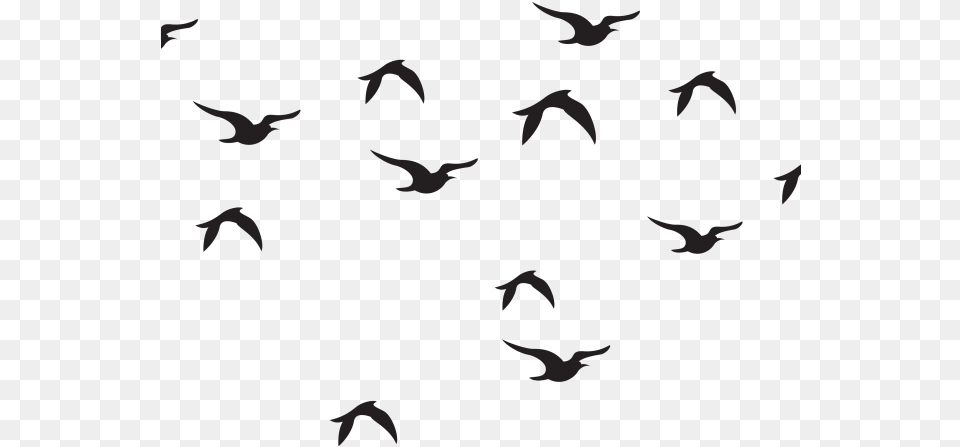Wildlife Clipart Bird Flock Black And White Flock Of Bird, Animal, Flying, Person Png