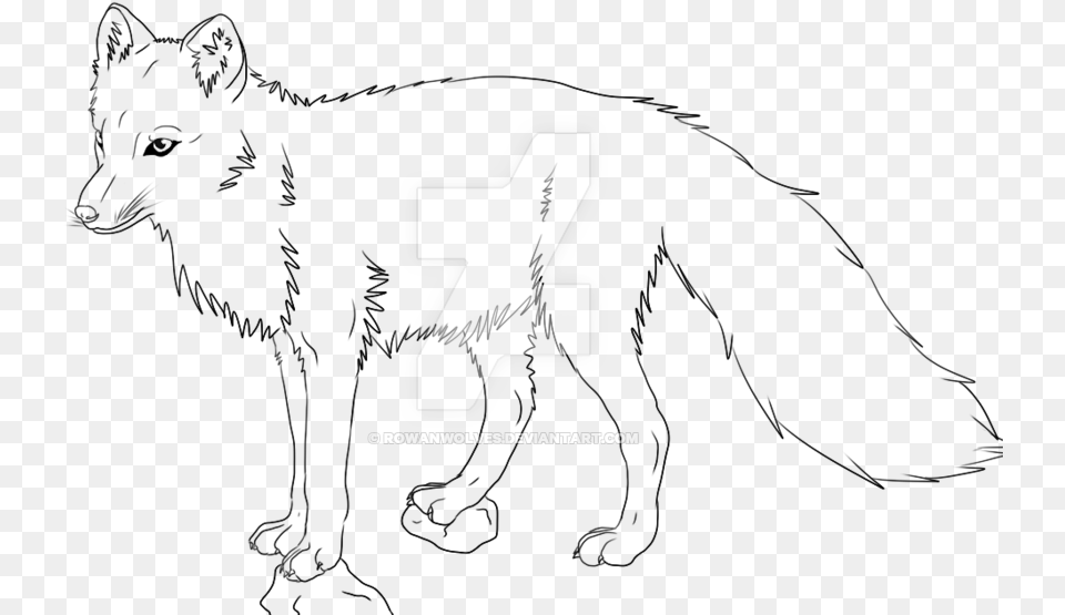 Wildlife Drawing Wolf Line Drawing Wolf, Symbol, Text, Logo Png Image