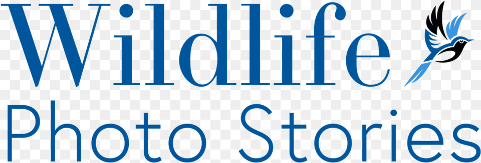Wildlife Photo Stories Logo Large Circle, Text, Scoreboard, Symbol Png