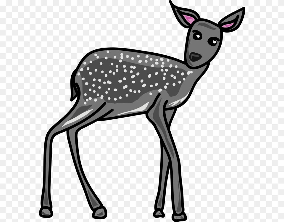 Wildlifeantlermusk Deer Grey Animals Clip Art, Animal, Mammal, Wildlife, Kangaroo Free Transparent Png