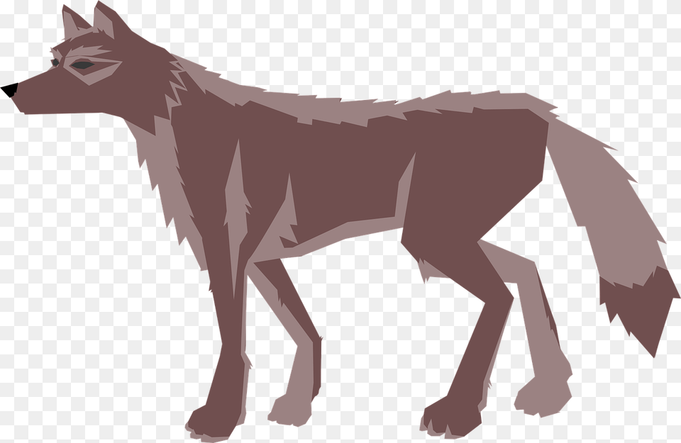 Wildlifecarnivoranred Fox Transparent Wolf Animated, Animal, Coyote, Mammal, Person Free Png