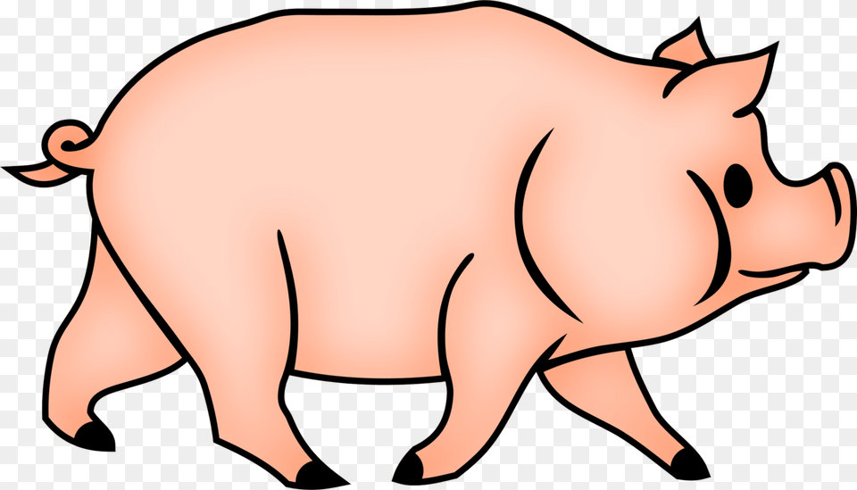Wildlifeneckdomestic Pig Cerdos Conncara De Simio Dibujo, Animal, Hog, Mammal Free Png