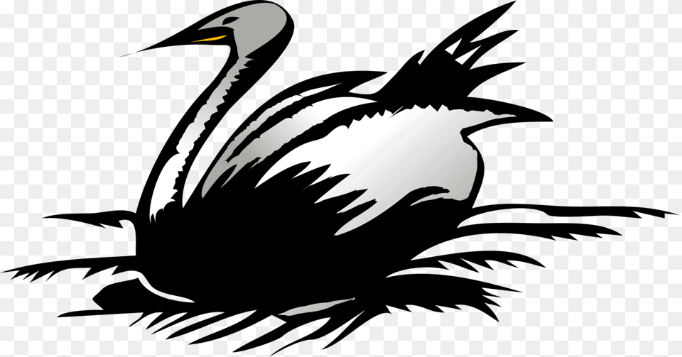 Wildlifewater Birdduck Duck Diagram In, Animal, Beak, Bird, Stencil Png