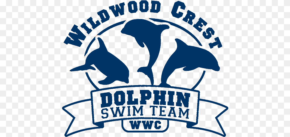 Wildwood Crest Dolphins Logo Dolphin Swim Team, Animal, Mammal, Sea Life, Person Free Png Download