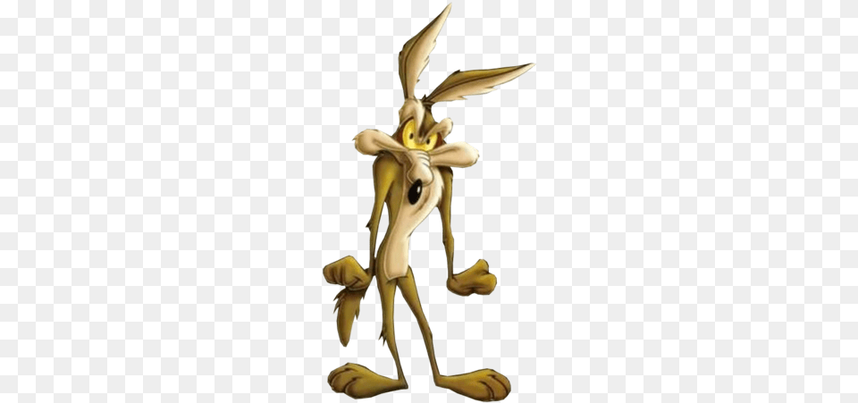 Wile E Coyote Wile E Coyote Angry, Animal, Invertebrate, Insect, Bee Png